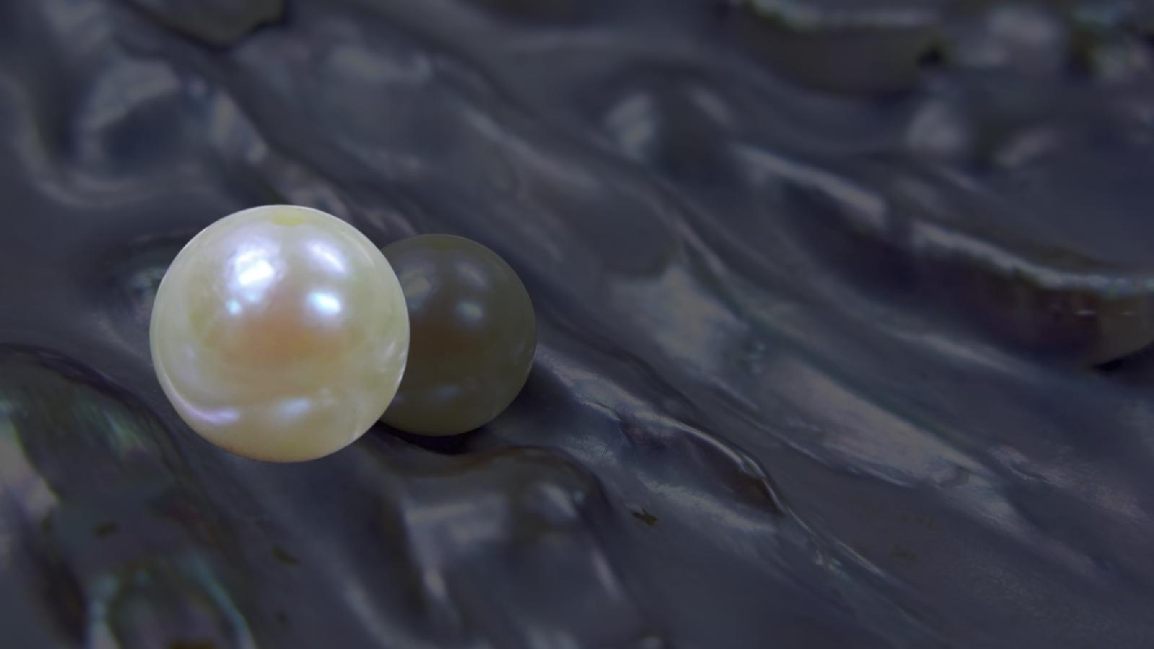 images-about-brand-dna